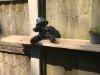 Picture of 2 Clinch-It 10" Black Hanging Basket or Shelf Brackets with Stainless-Steel Clinch-It Concrete Fence Post brackets
